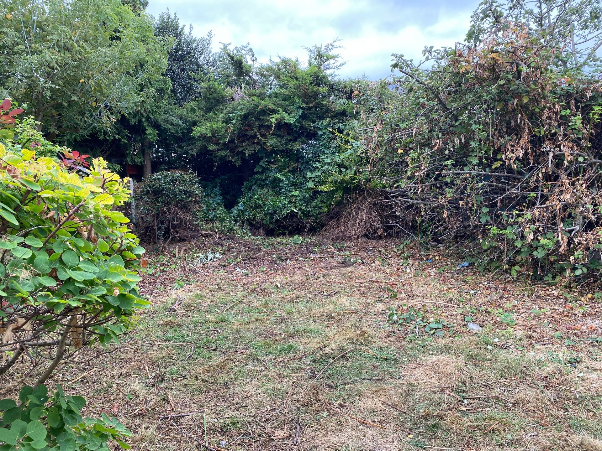 Garden Clearances